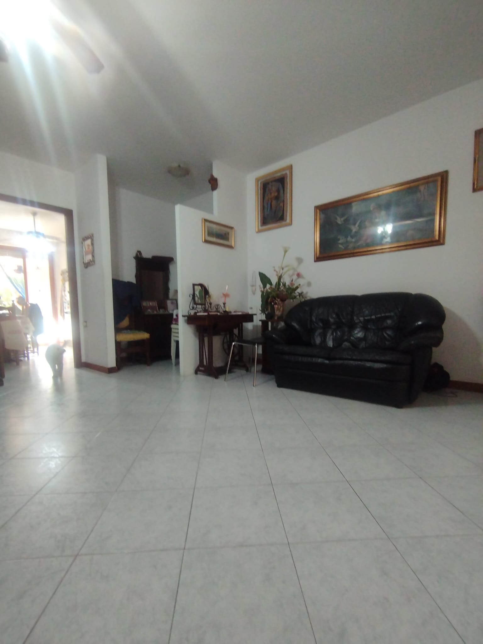 Periferia Nord, 2 Bedrooms Bedrooms, ,2 BathroomsBathrooms,Appartamento,Vendita,1423